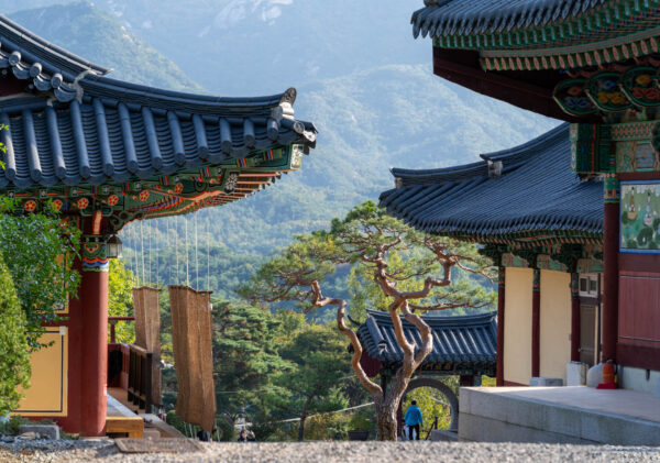 Photo panoramique architecture par Naomi Bromley, photographe en Suisse romande